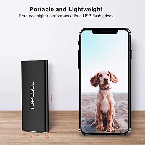 Portable SSD 500GB USB-C 500MB/s External Solid State Drive for Mac PC