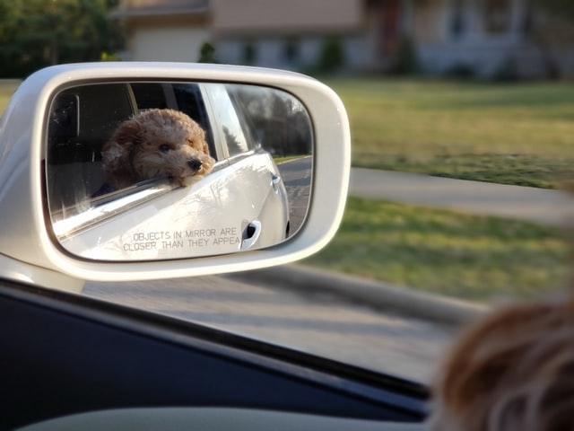 How to pick the memory card for your dashcam？